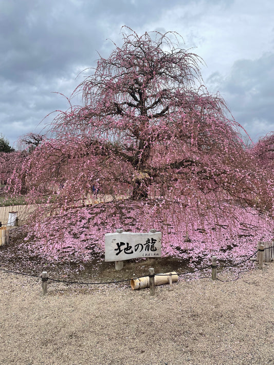 鈴鹿の森庭園